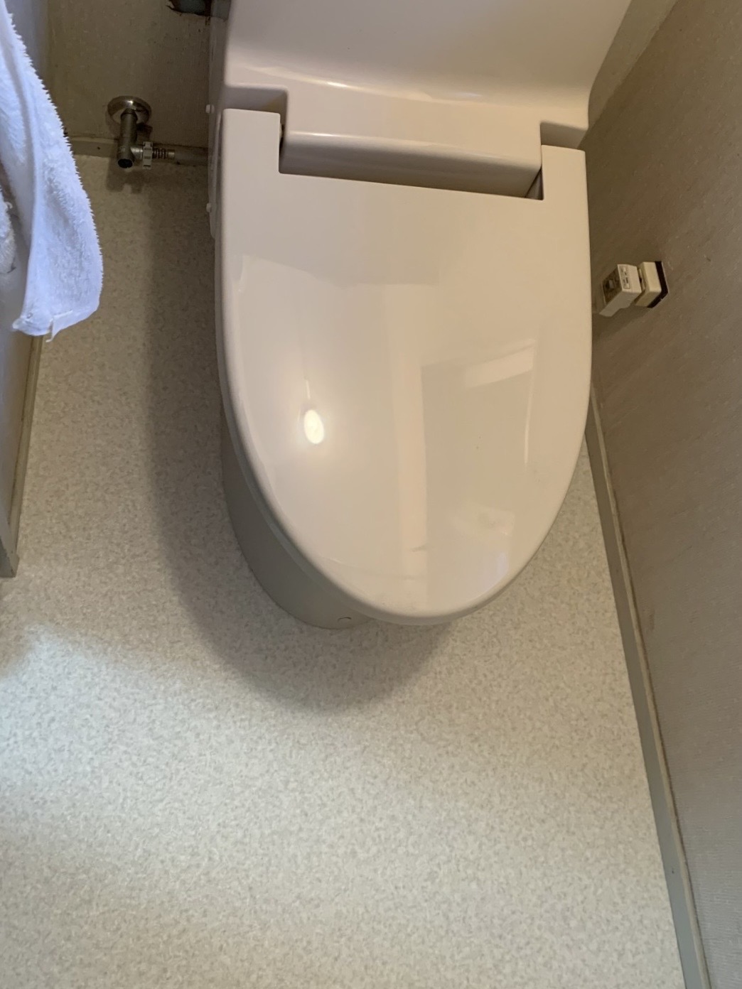 トイレ床補強・白蟻防除工事 画像