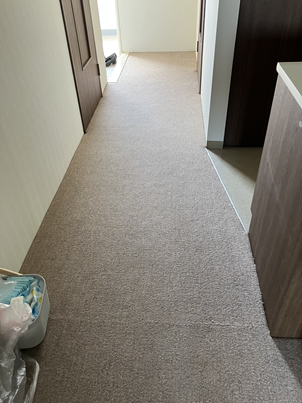 Before画像