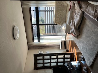 Before画像