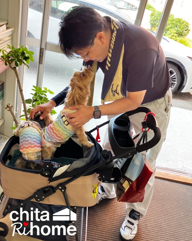 事務所に可愛いお客様🐶🐶 画像