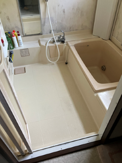 Before画像