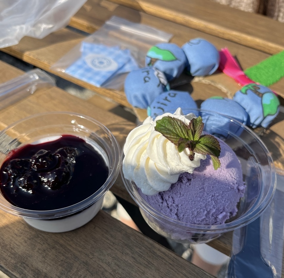 ウェルハート農園のマルシェに孫と一緒に行ってきました🫐✨ 画像