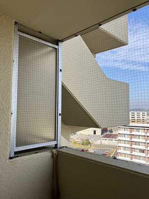 マンション防鳥対策工事 画像