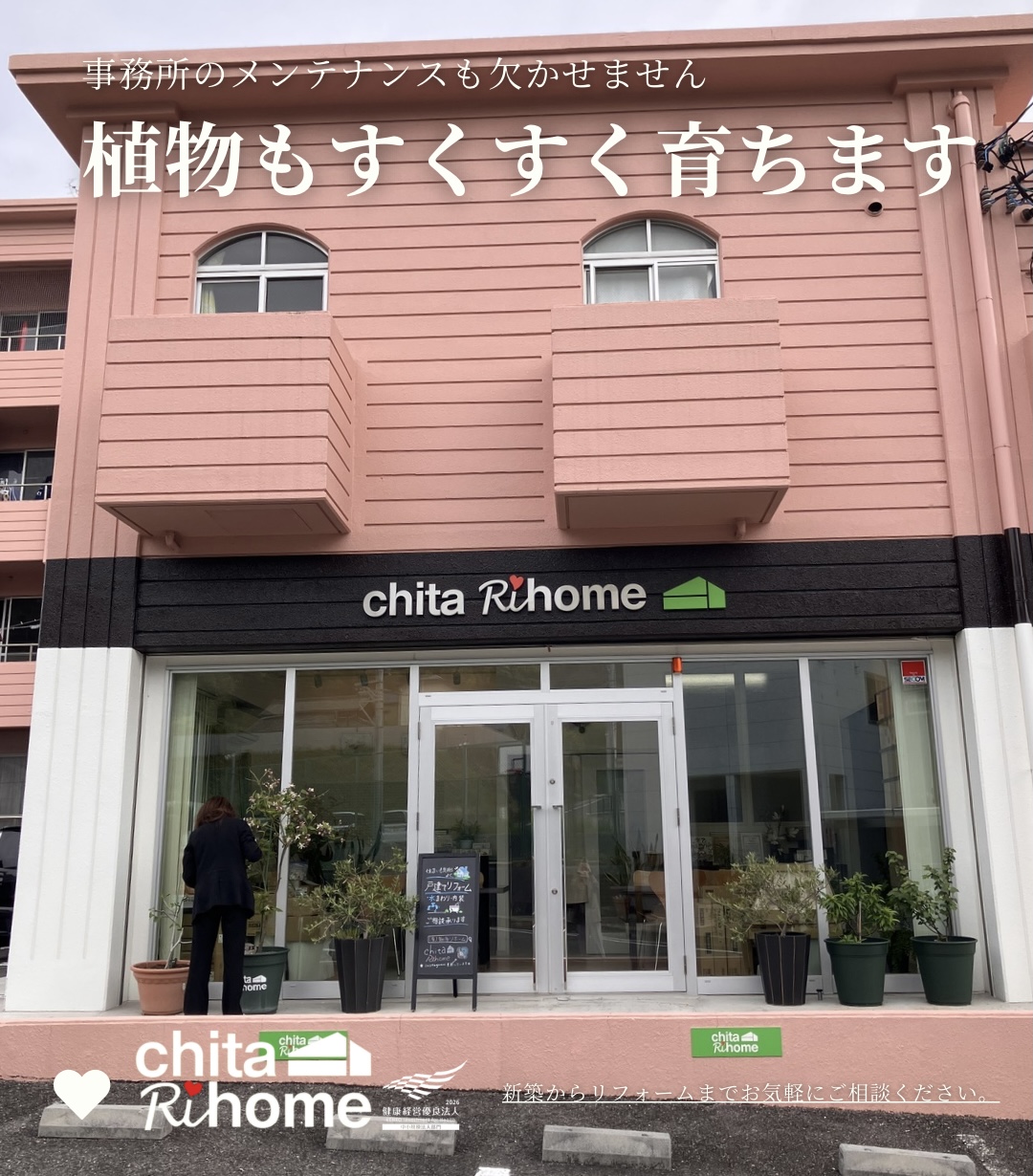 事務所前の植物、毎朝スタッフがお手入れをしています☺️ 画像