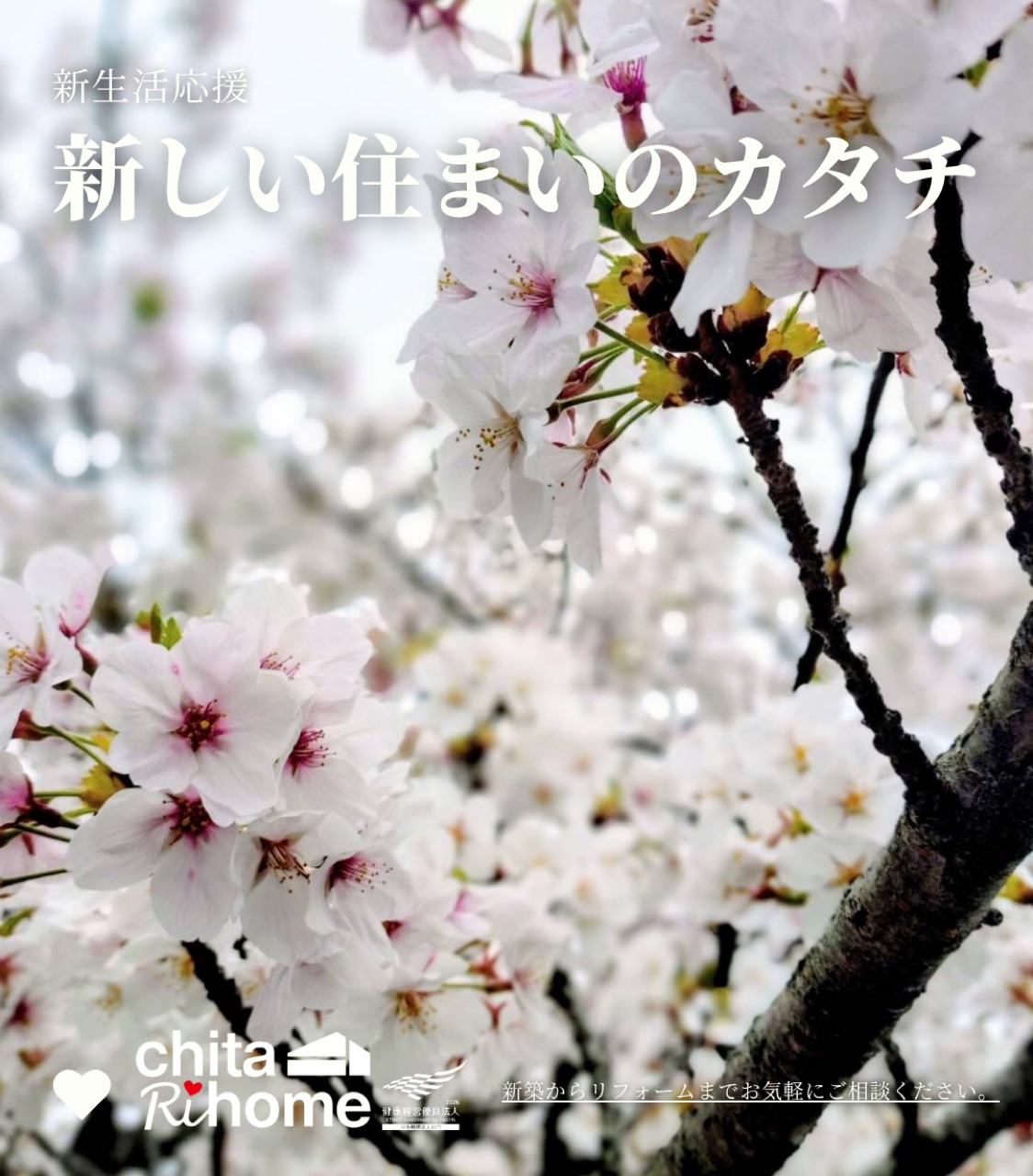 新生活応援 これからの暮らしも見直してみませんか？お気軽にご相談ください🌸 画像