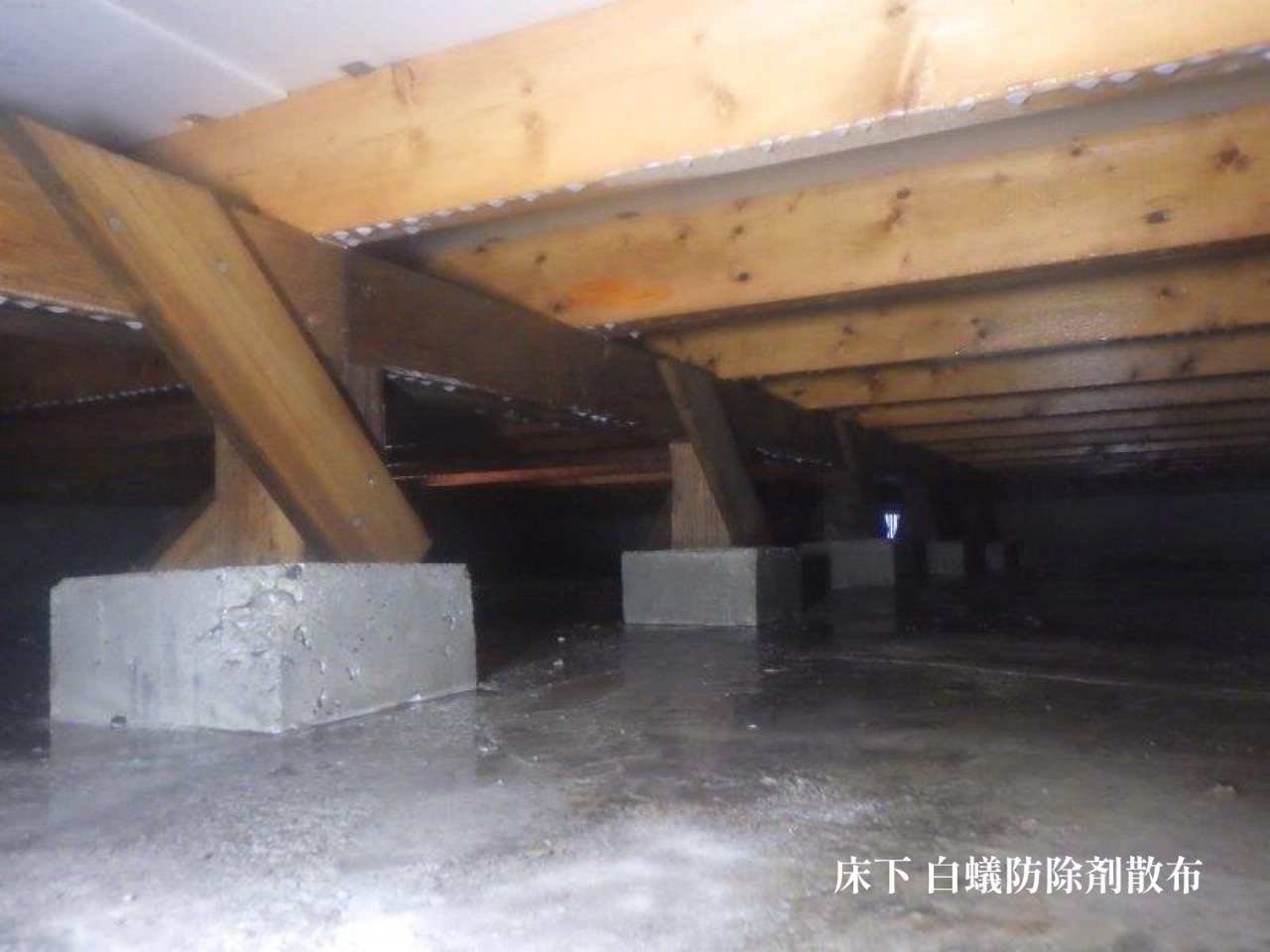 大府市 H様邸 白蟻防除工事🐜 画像