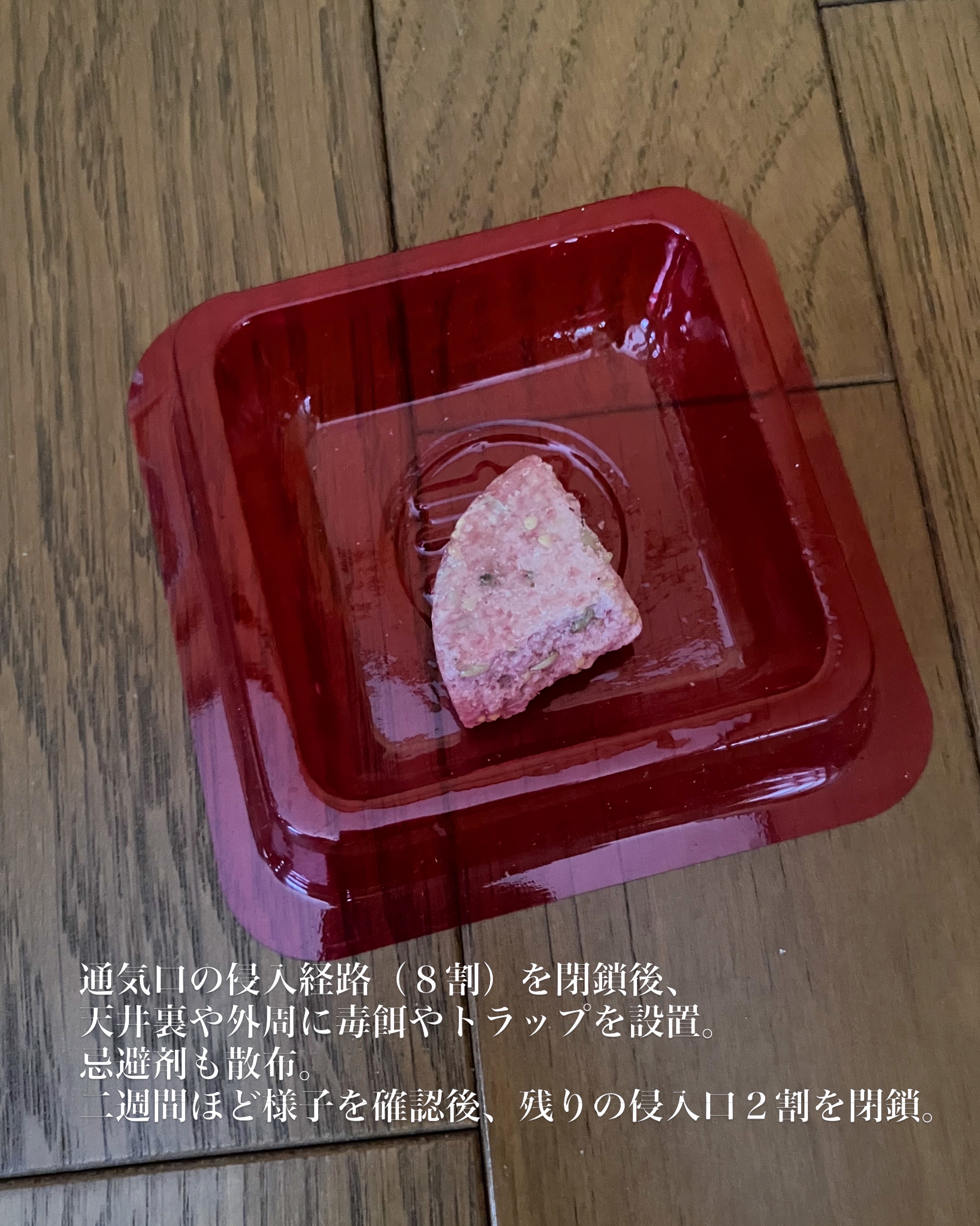 知多市 D様邸 ネズミ防除🐀 画像