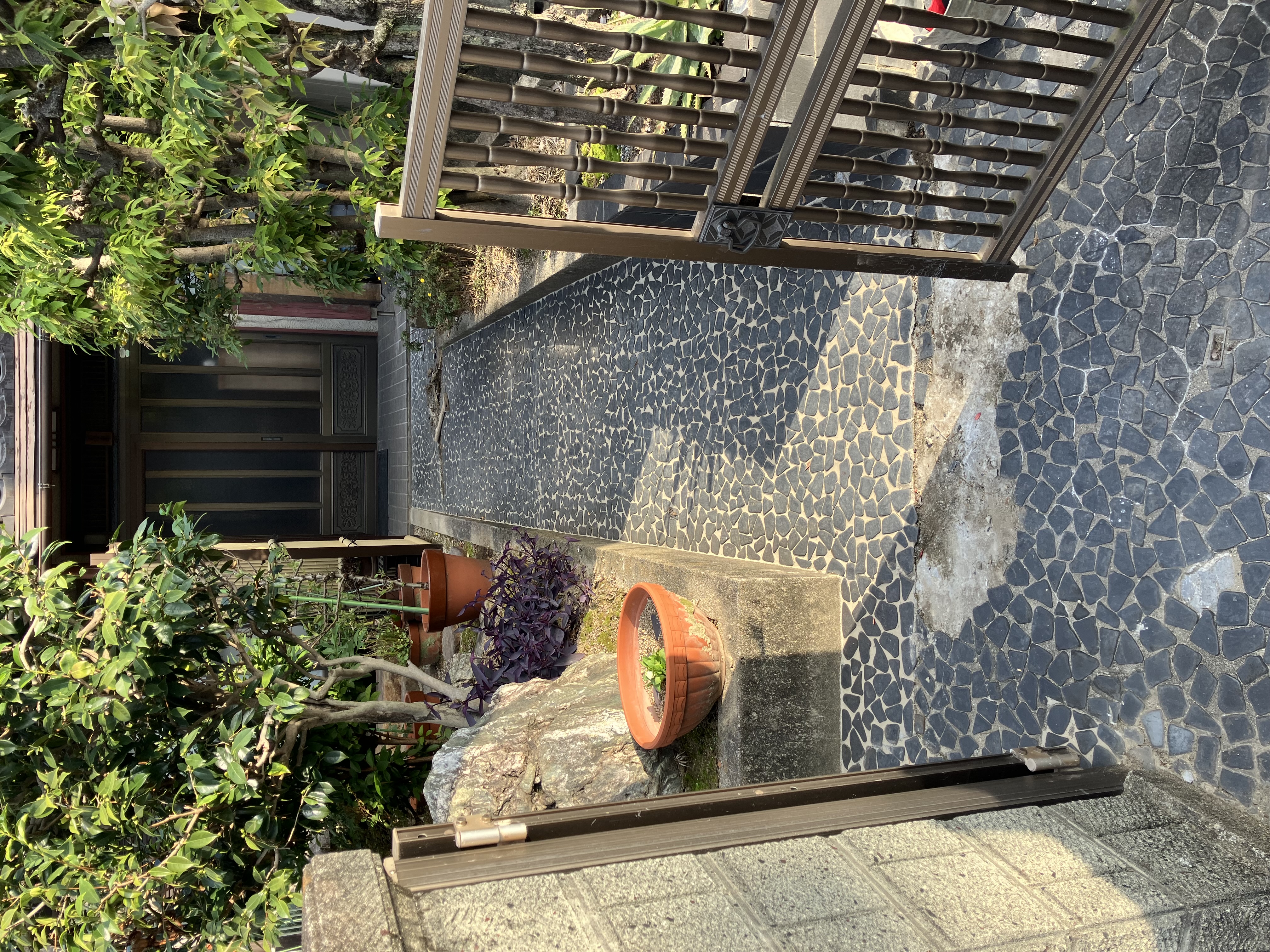 Before画像