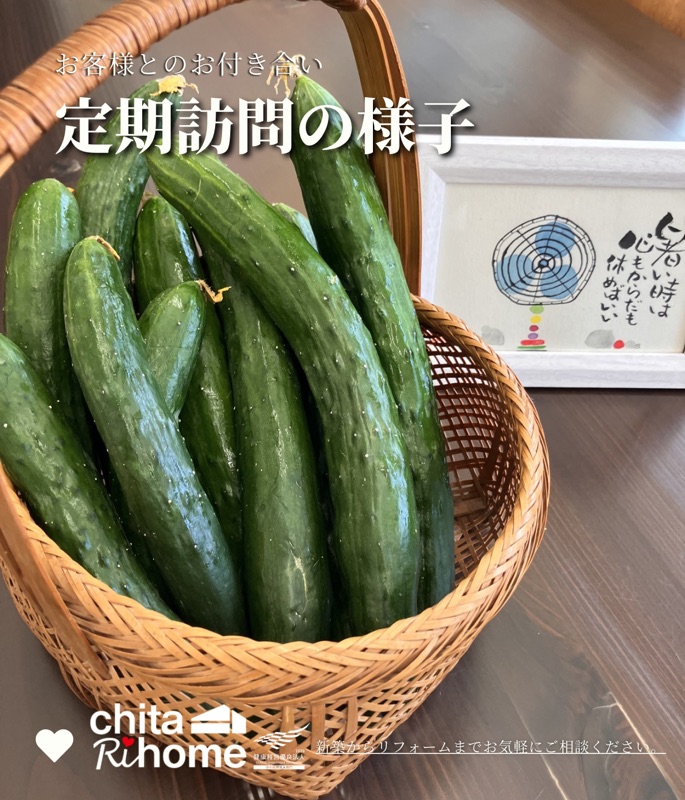 定期訪問の様子をお届け☺️ 画像