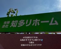 6月最終日☀️ アイキャッチ画像
