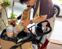 事務所に可愛いお客様🐶🐶 アイキャッチ画像