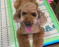 南知多町 Ｍ様邸 キッチン・浴室改装工事スタート🌟 アイキャッチ画像