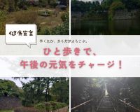 ひと歩きで、午後の元気もチャージ✨食後の散歩は腸活にも👍 アイキャッチ画像