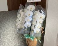 半田市 Y様邸 一部事務所にリフォーム✒️ アイキャッチ画像