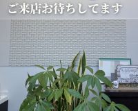 ３月最終日は春の嵐🌬️☔️ アイキャッチ画像