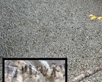 南知多町 U様邸 防草対策砂利敷き🪨 アイキャッチ画像