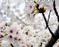 新生活応援 これからの暮らしも見直してみませんか？お気軽にご相談ください🌸 アイキャッチ画像