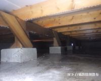 大府市 H様邸 白蟻防除工事🐜 アイキャッチ画像