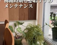 ＼＼梅雨こそ見直したい、お住まいの健康診断をしてみませんか？／／ アイキャッチ画像