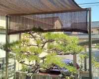 本格的な夏到来にお家の日除け対策 おすすめ施工事例☀️ アイキャッチ画像