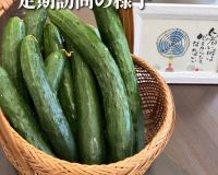 定期訪問の様子をお届け☺️ アイキャッチ画像