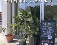 本日営業中です👩‍💼 アイキャッチ画像