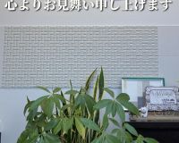熊本県を中心とする地震により被災された皆さまへ アイキャッチ画像