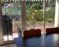 朝からたっぷりの日差し🌞 アイキャッチ画像