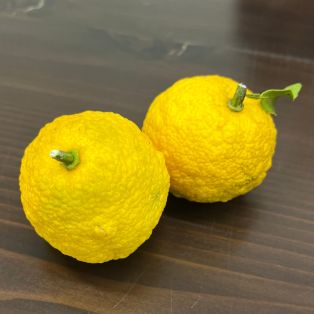 柚子 アイキャッチ画像
