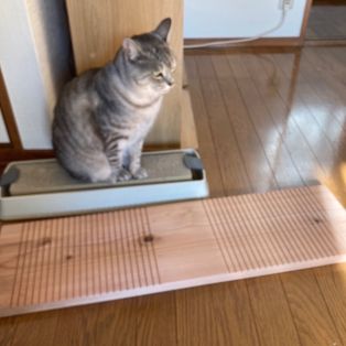ももちゃんへプレゼント アイキャッチ画像