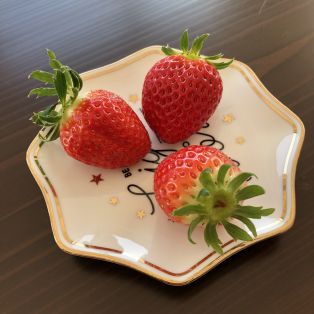 差し入れいただきました(^^) アイキャッチ画像