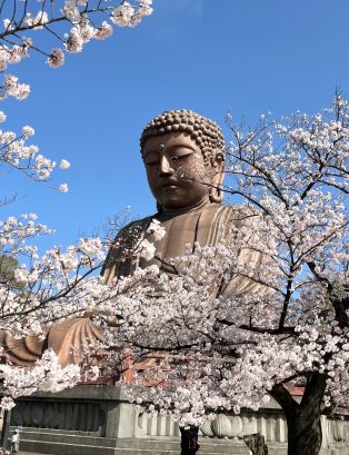 聚楽園大仏 アイキャッチ画像