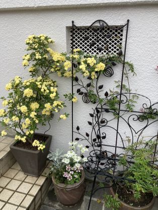豊明市S様邸🌸 アイキャッチ画像