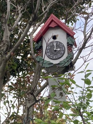 入居者募集中🦜 アイキャッチ画像
