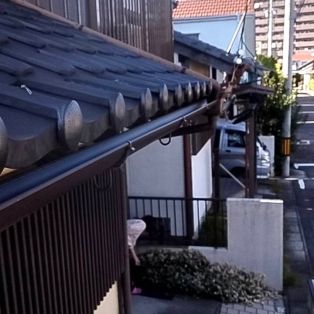 半田市で玄関軒樋修理をさせていただきました✨ アイキャッチ画像