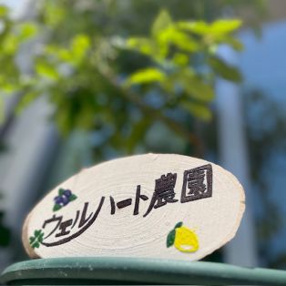 ウェルハート農園さんのプレート立てました✨ アイキャッチ画像