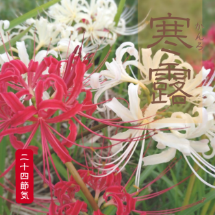 寒露（かんろ） アイキャッチ画像