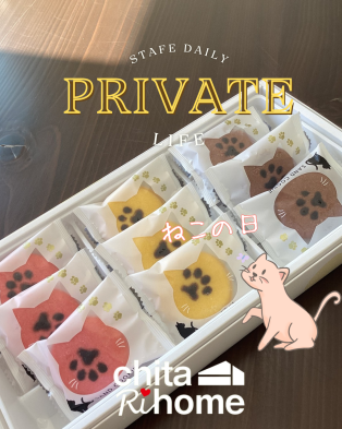 ２月２２日はねこの日😻♪ アイキャッチ画像