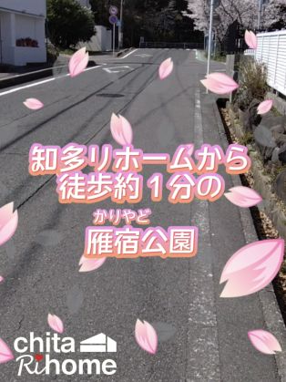 徒歩約１分の雁宿公園の桜が見頃です🌸 アイキャッチ画像