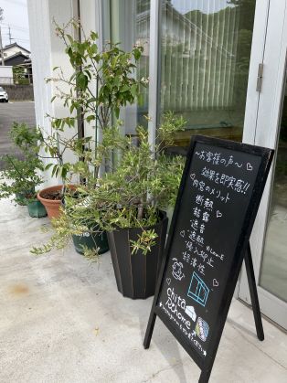 ブルーベリーの木が２本仲間入りしました🫐 アイキャッチ画像