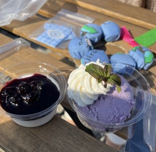 ウェルハート農園のマルシェに孫と一緒に行ってきました🫐✨ アイキャッチ画像