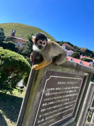 愛犬にも優しい伊豆旅行へ🚙 アイキャッチ画像