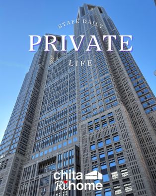 都庁の展望台より🏙️ アイキャッチ画像