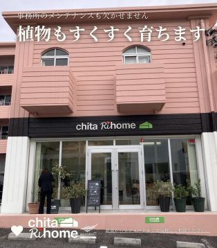 事務所前の植物、毎朝スタッフがお手入れをしています☺️ アイキャッチ画像