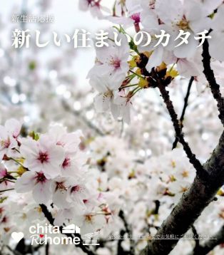 新生活応援 これからの暮らしも見直してみませんか？お気軽にご相談ください🌸 アイキャッチ画像