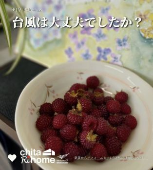 皆様、台風の影響は大丈夫でしたでしょうか？ アイキャッチ画像