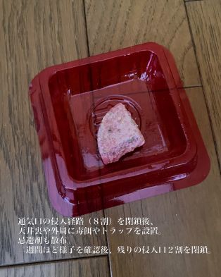 知多市 D様邸 ネズミ防除🐀 アイキャッチ画像