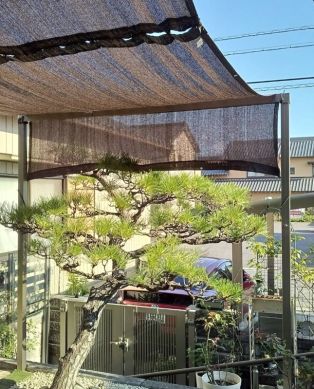 本格的な夏到来にお家の日除け対策 おすすめ施工事例☀️ アイキャッチ画像