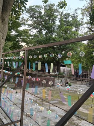 半六庭園 風鈴飾りみてきました🎐 アイキャッチ画像