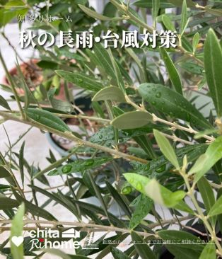 長雨＆台風チェック🏠🍂 アイキャッチ画像